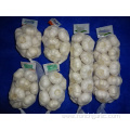 Pure White Garlic Fresh New Crop 2019